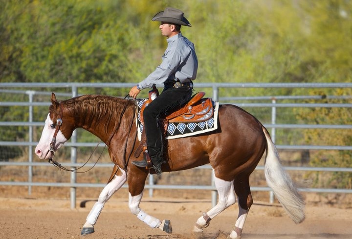 02c6ebbd6dbbe481caea8e2f1c21694d--reining-horses-horse-showing.jpg