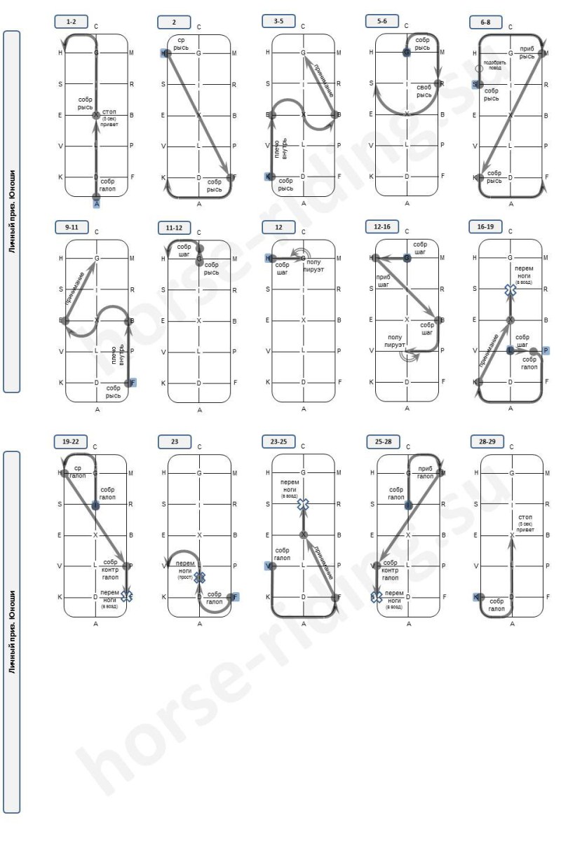 Эквестриан схемы езд
