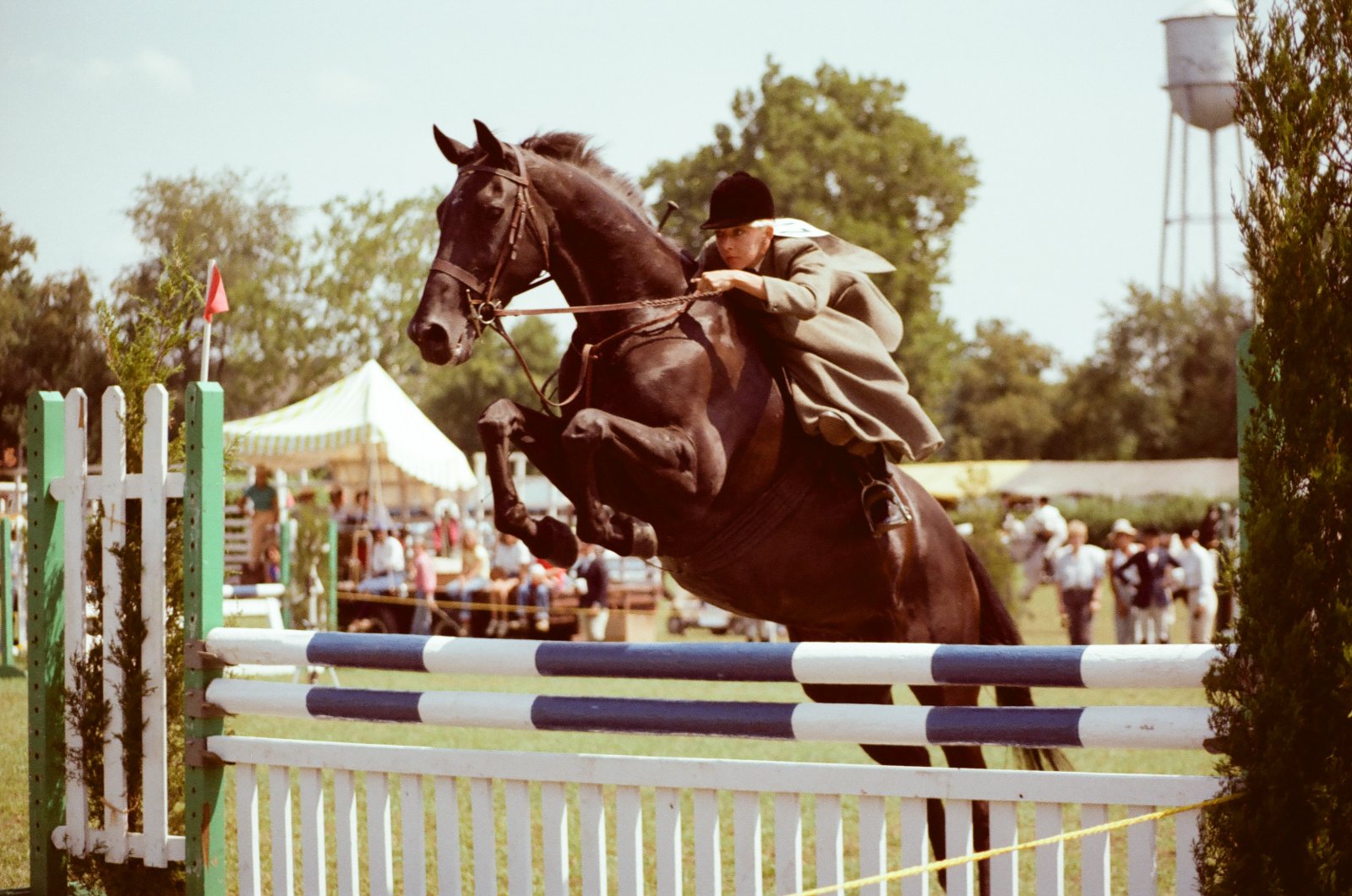 12 августа 1982 года на выставке Middleburg Show.jpg