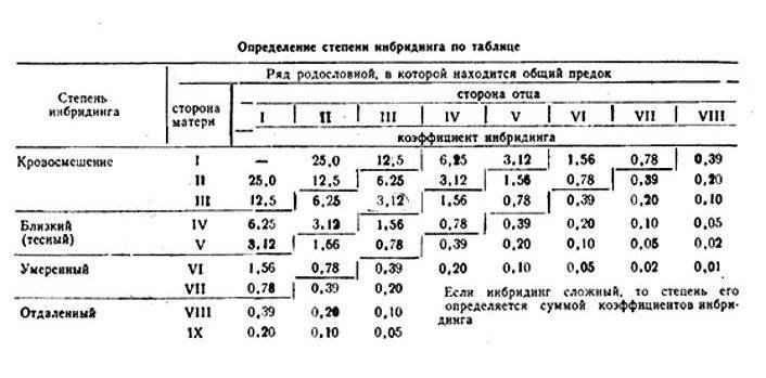 19702219.jpg.e8331b06b59cc456f82e8f106ad319c4 (1).jpg