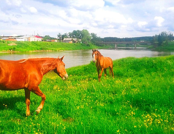 2016-06-09 19-37-04 Рабочий стол.png