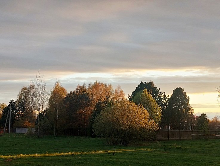 20250425_193700.jpg
