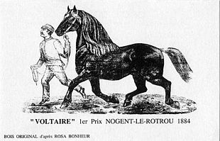 310px-Rosa_Bonheur._Voltaire.jpg