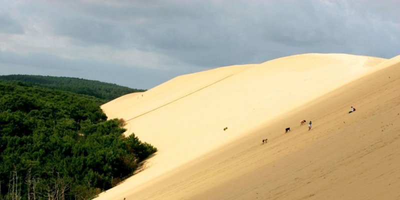 506-hectares-constituent-le-grand-site-de-la-dune-du-pilat_2493509_800x400.jpg