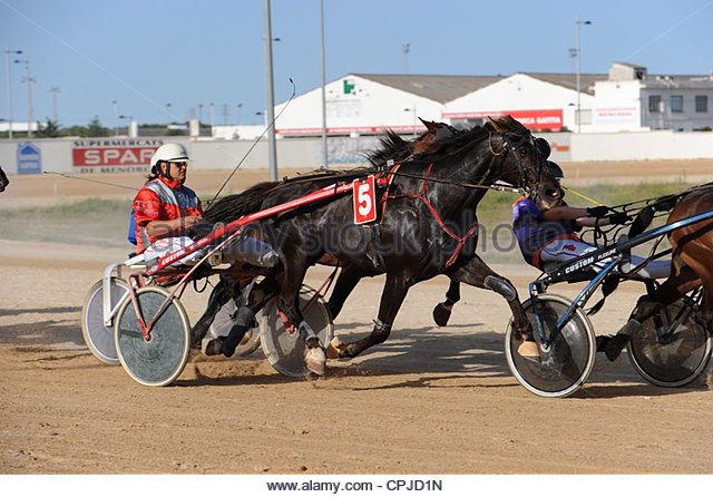 action-shot-of-horse-trotting-races-menorca-spain-cpjd1n.jpg