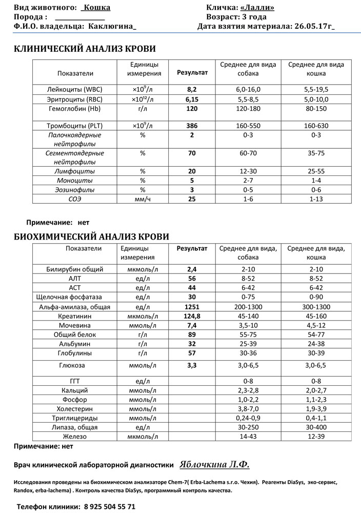 Анализы-кошка-Лалли26.05.17.jpg