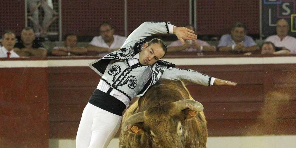 baptiste-bordes-se-consacre-desormais-uniqument-aux-toros.jpg