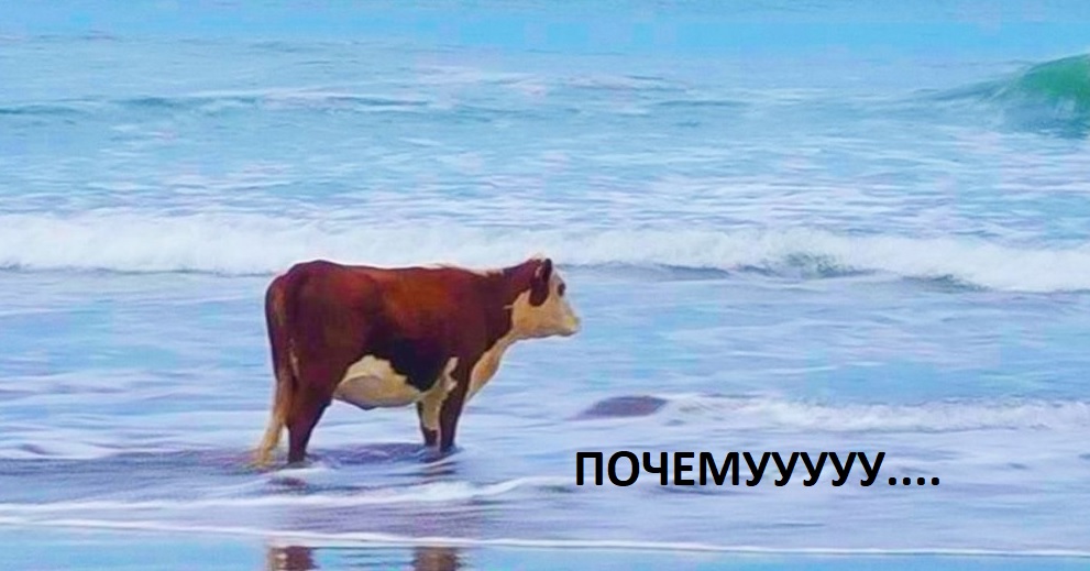 Безымянный.jpg