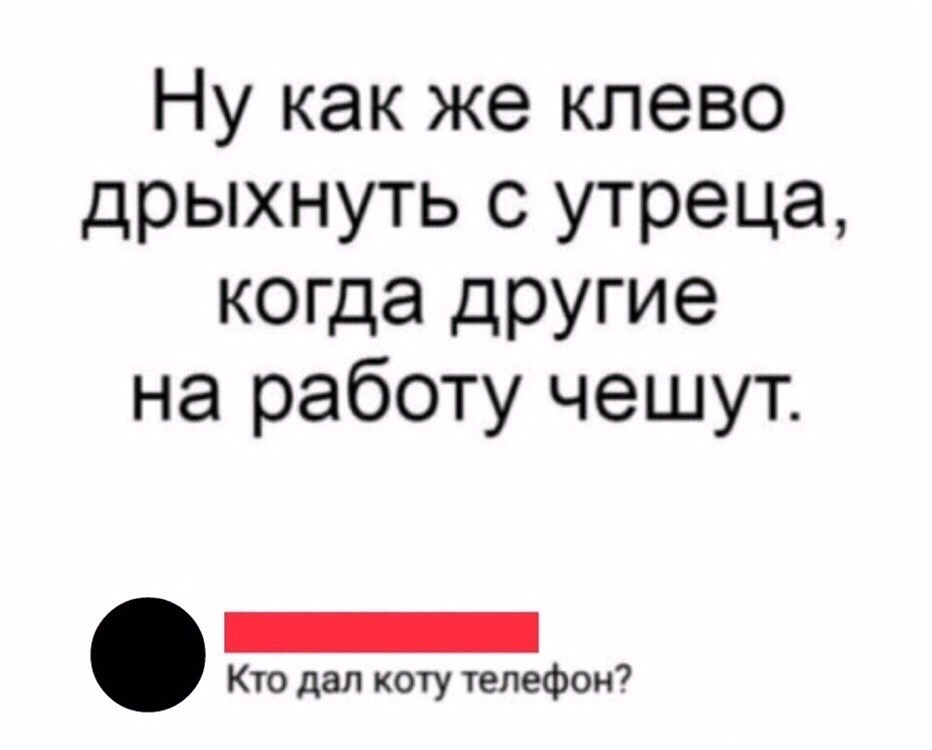 Как упоительно валяться по утрам когда другие чешут на работу картинки