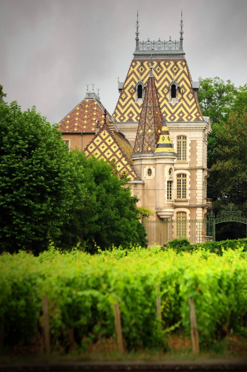 chateau_de_corton_andre_keil_290909_4_0.jpg