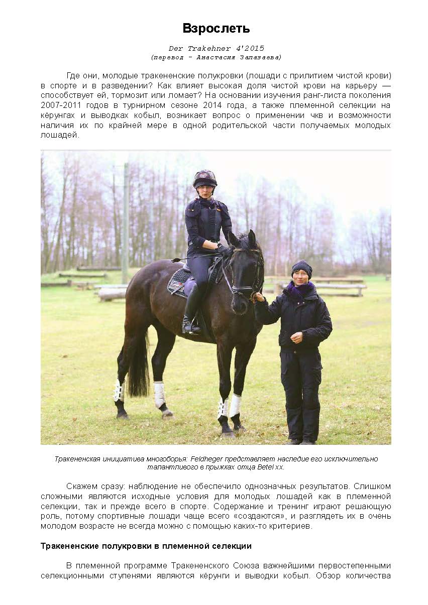 Der Trakehner 4'2015_Page_1.jpg