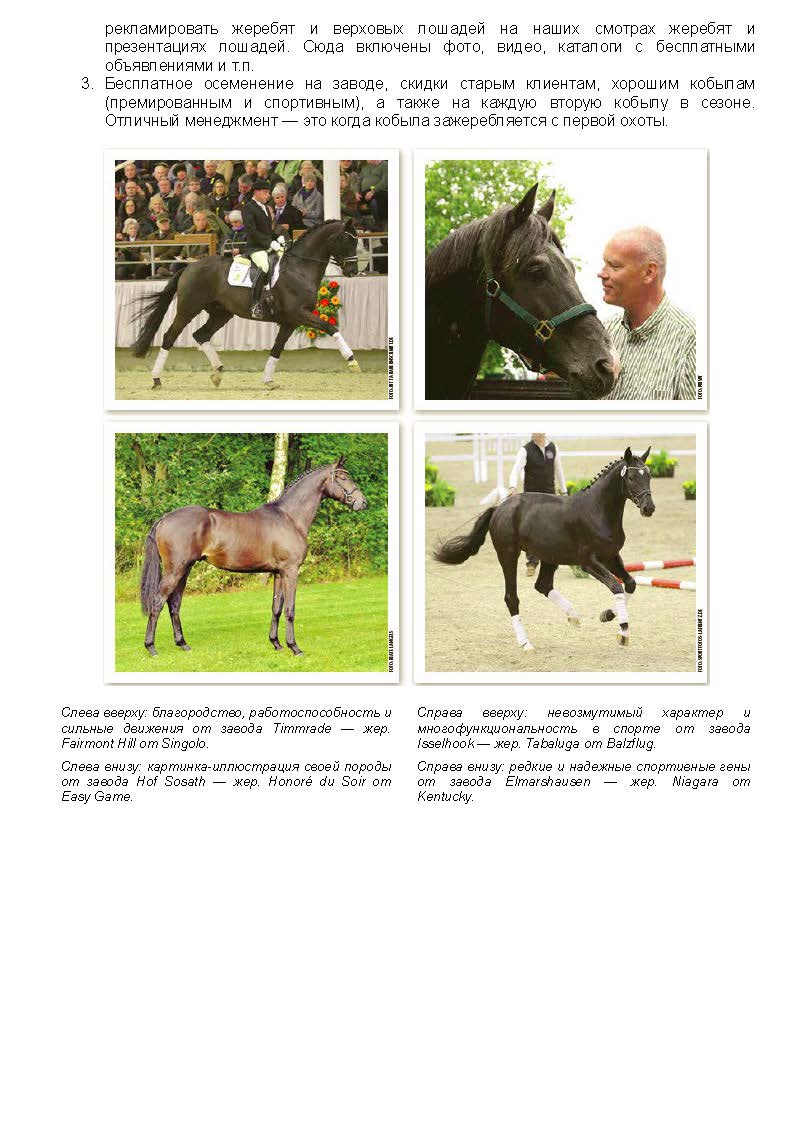 Der Trakehner 4'2015_Page_8.jpg