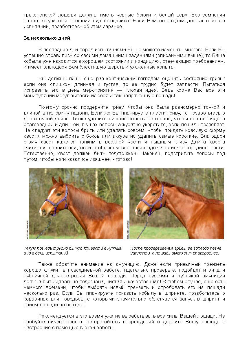 Der Trakehner 5'2014_Page_3.jpg