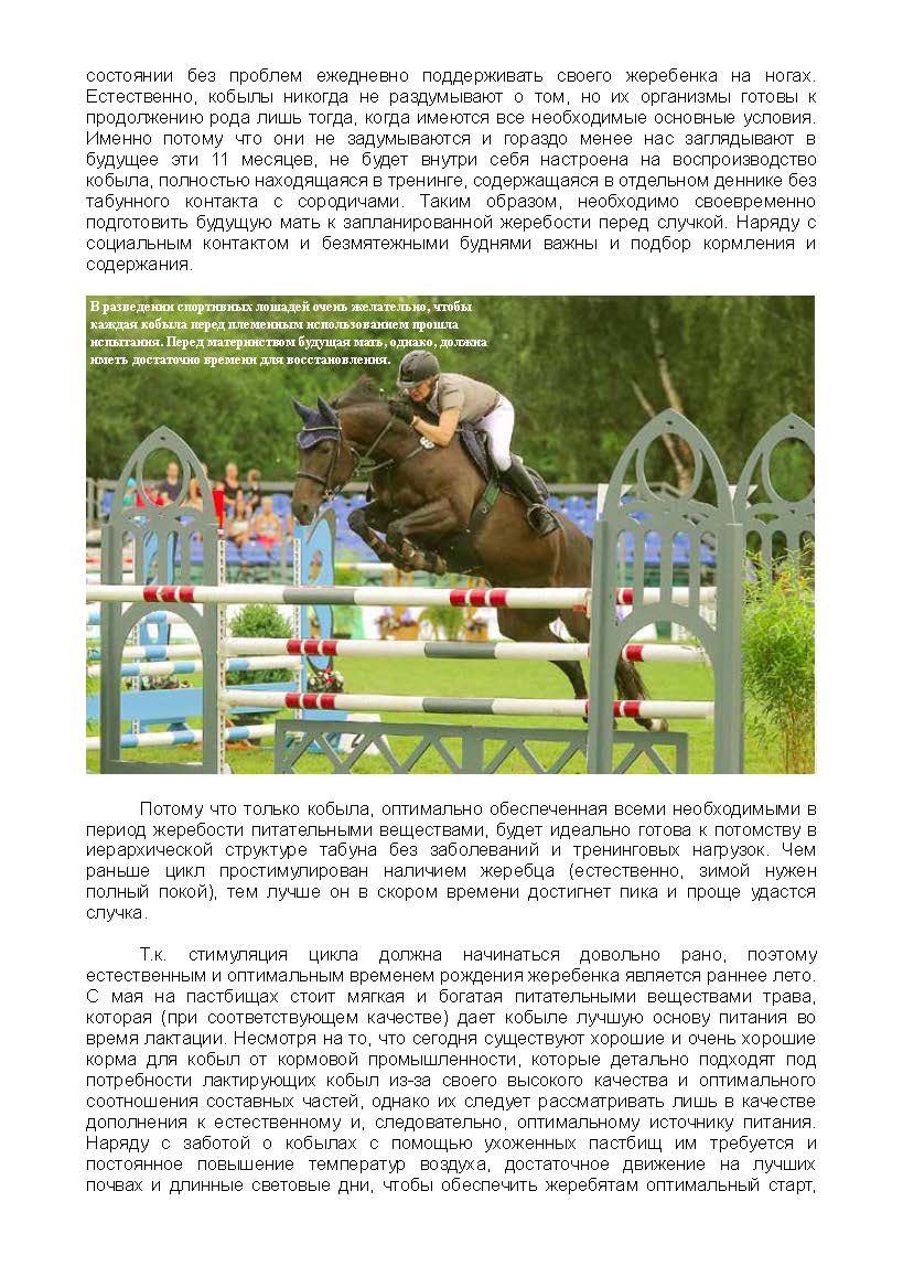 Der Trakehner 5'2015 2_Page_3.jpg