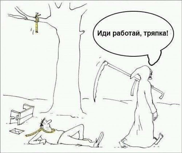 dlyakota.ru_foto-prikoly_podborka-komiksov-i-karikatur_17.jpg