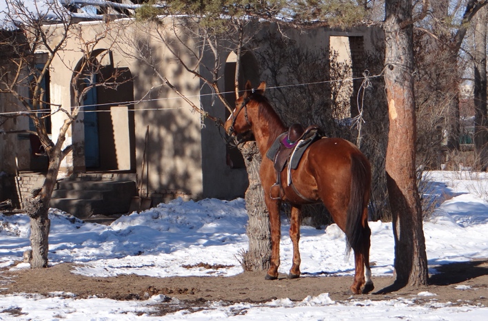 donchak karakol552.jpg