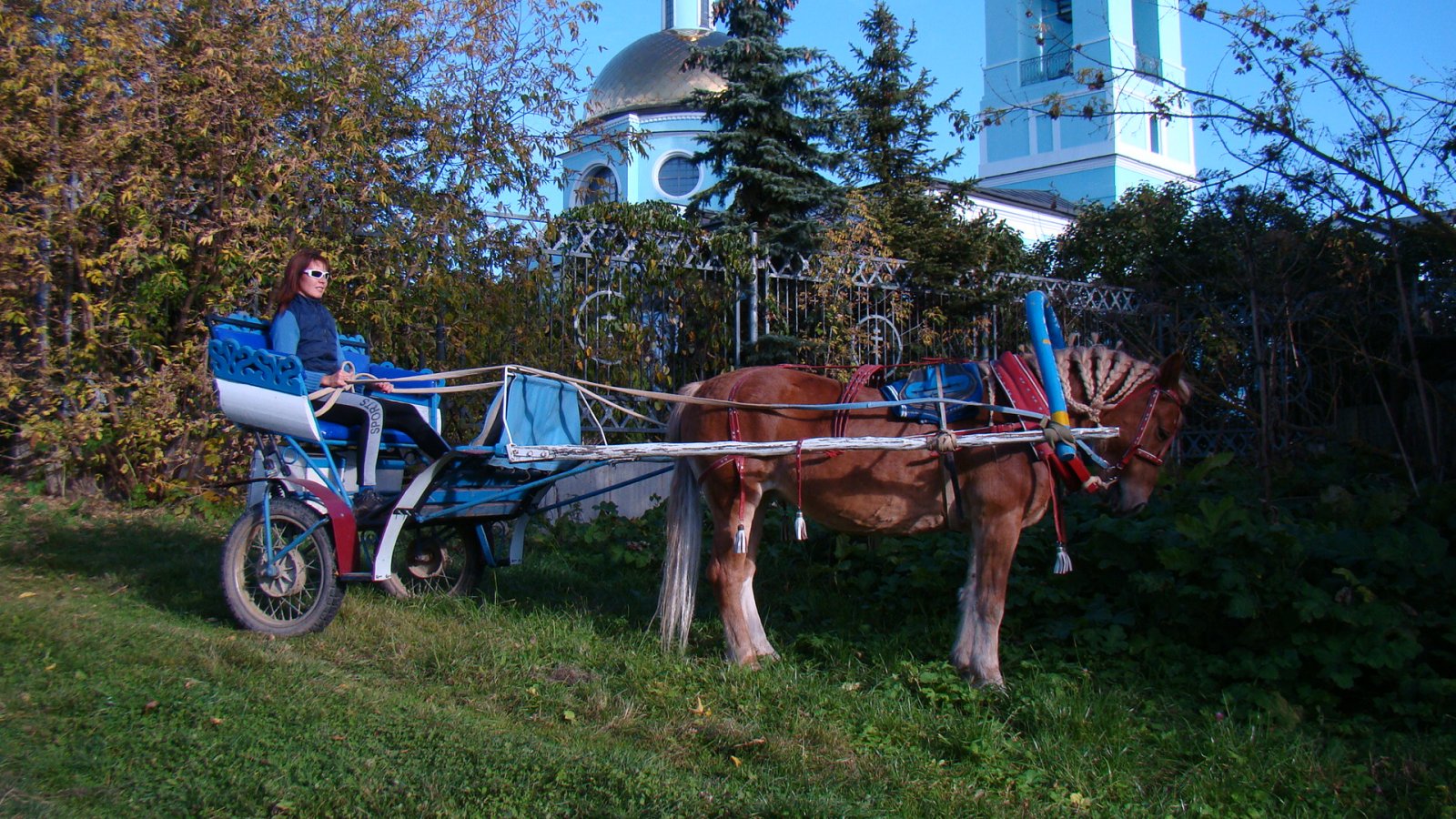 Двуколка для лошади фото