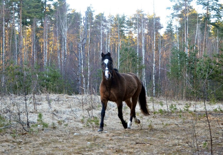 DSC_5570.JPG