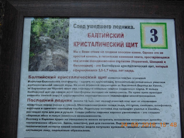 DSCN3422_4_балтийский кр щит.jpg