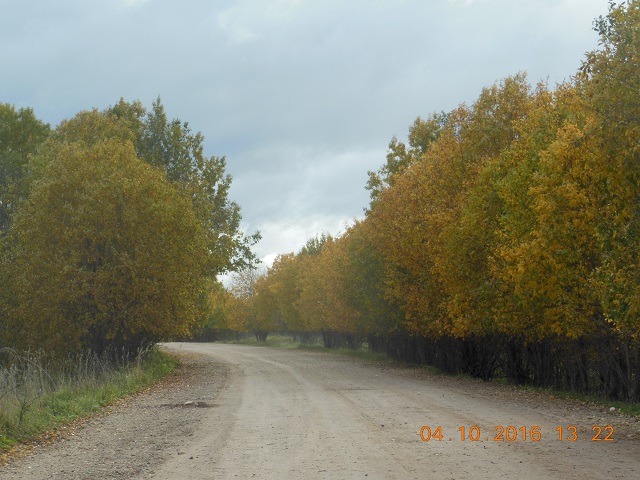 DSCN3713_рагуша.jpg