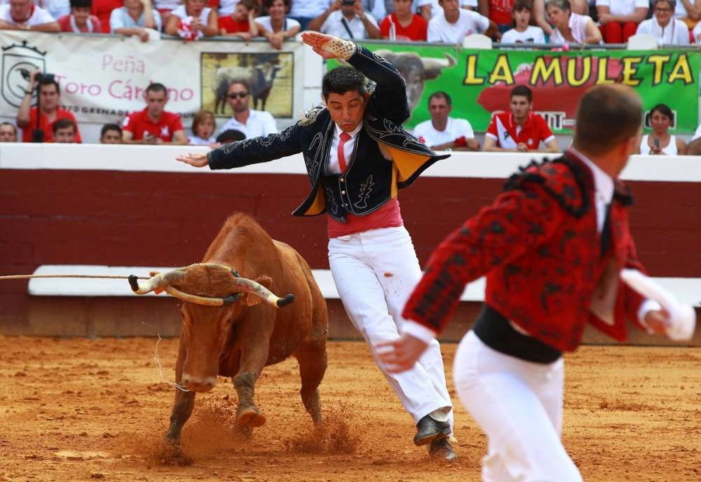 frederic-vergonzeanne-ecarte-une-vache.jpg