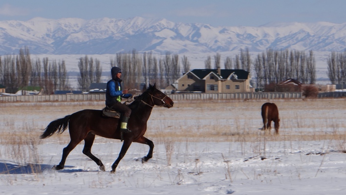 gorgo karakol599.jpg