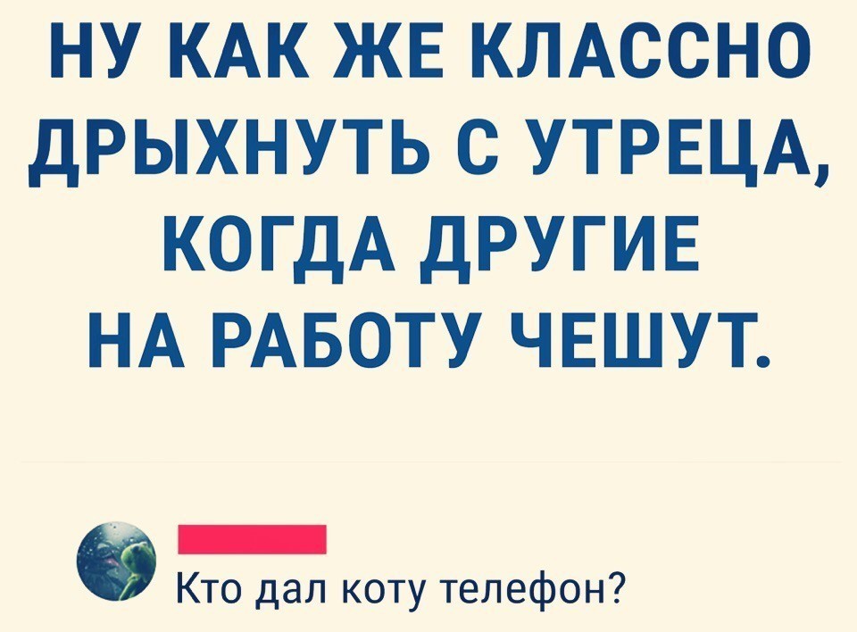 Как хорошо валяться по утрам когда другие чешут на работу картинки приколы с добрым утром