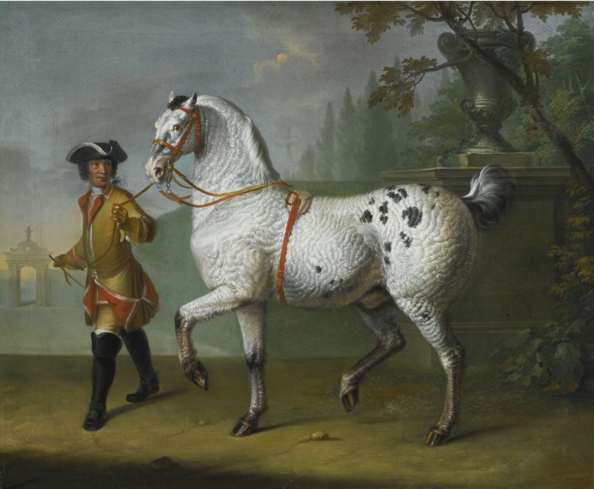 Johann Georg de Hamilton - A LIPIZZANER STALLION WITH CURLY COAT LED BY A GROOM.jpg