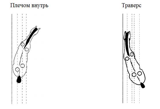 konnyi-sport-pic6.jpg