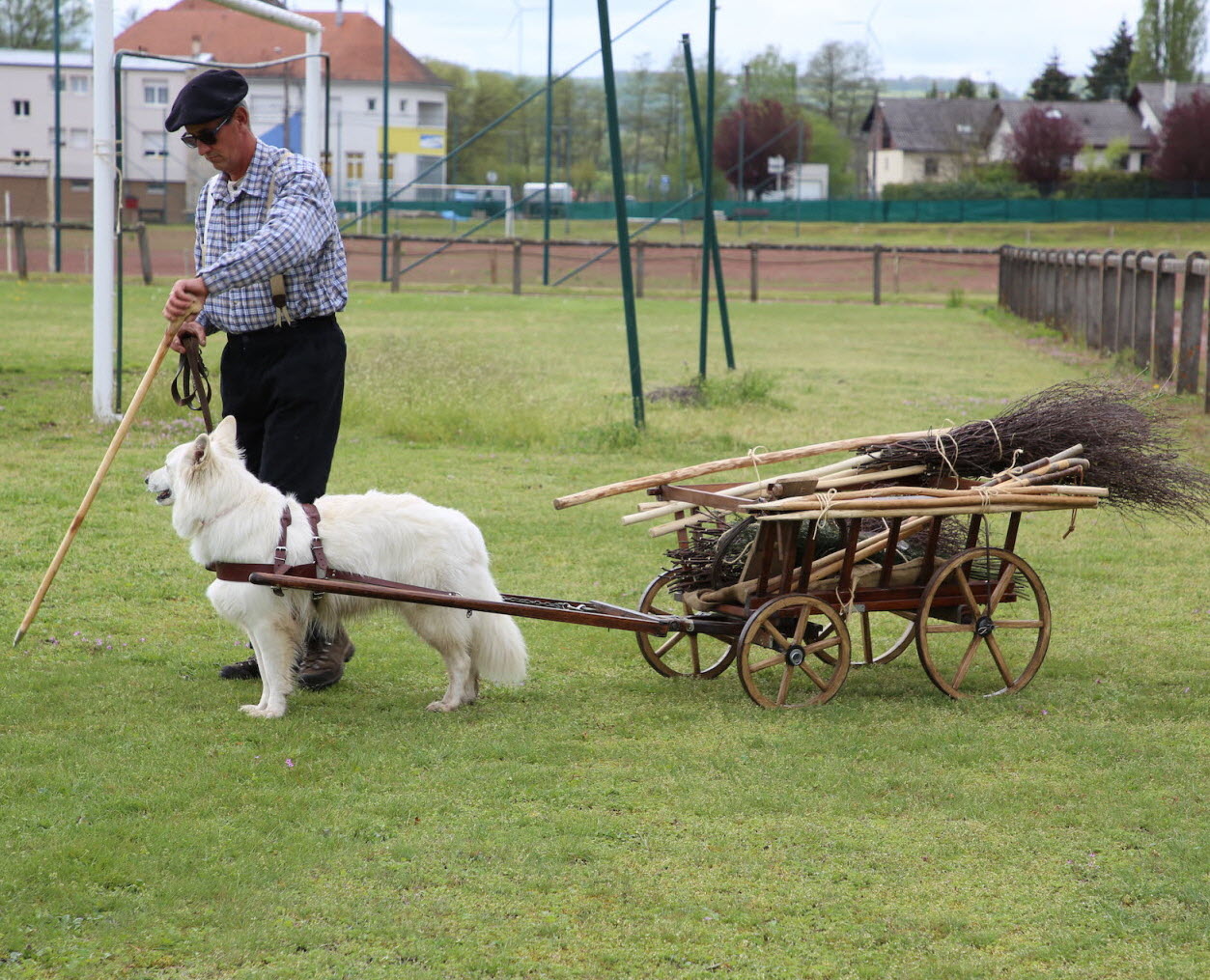 l-attelage-canin-n-a-rien-d-extravagant-a-l-epoque-les-personnes-n-ayant-pas-l-argent-pour-s-o...jpg