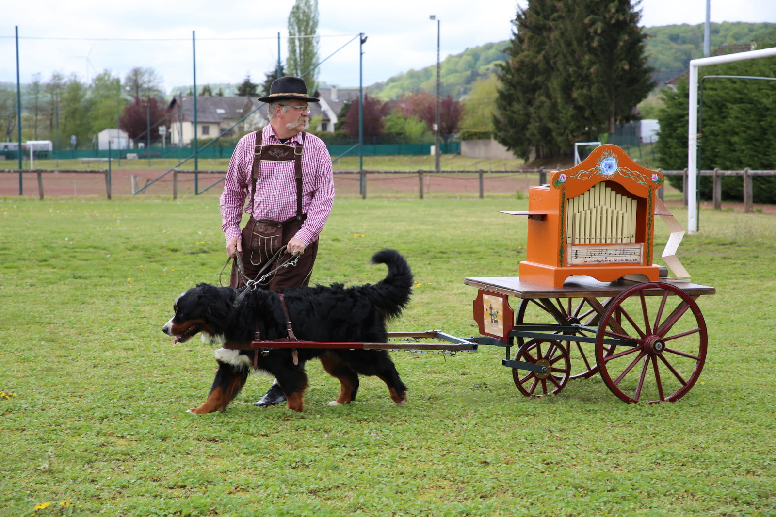 le-concours-d-attelage-s-est-tenu-les-27-et-28-avril-au-club-canin-de-ham-sous-varsberg-photo-...jpg