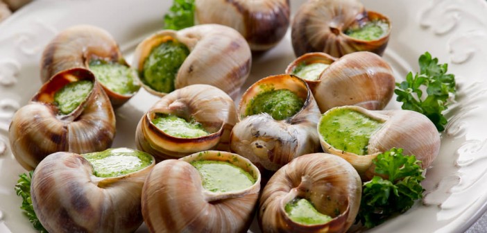 Les-escargot-font-ils-grossir--702x336.jpg