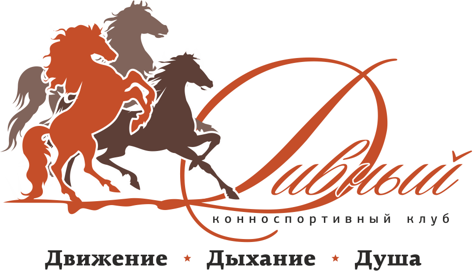 LOGO Дивный.PNG