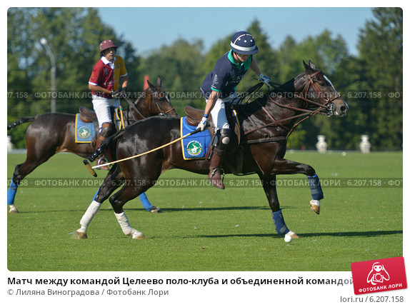 match-mezhdu-komandoi-tseleevo-polo-kluba-i-obedinennoi-0006207158-preview.jpg