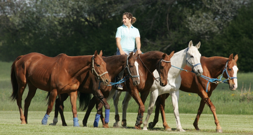 polo-canada-article-photos-032.jpg