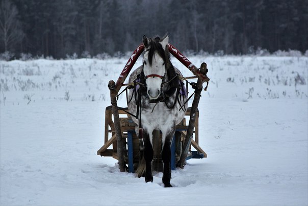 рома4.jpg