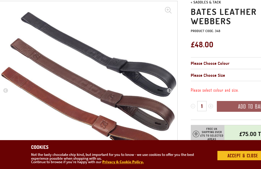 Screenshot 2021-09-29 at 13-08-10 Bates Leather Webbers.png