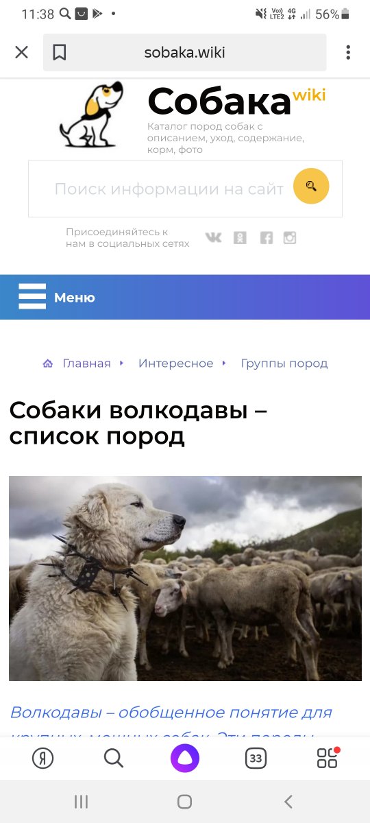 Screenshot_20220419-113842_Yandex.jpg