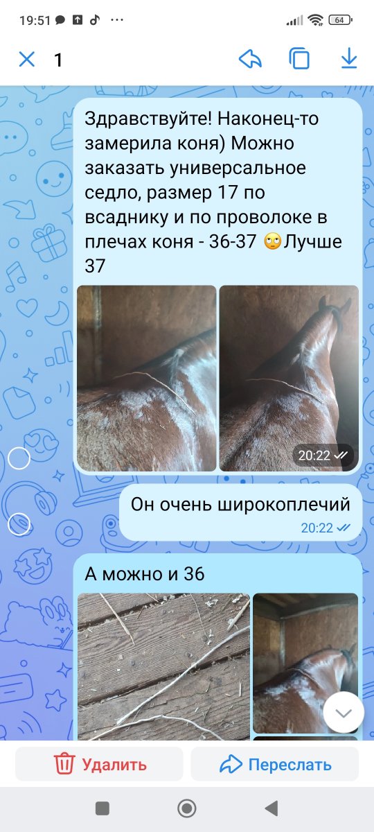 Screenshot_2023-07-31-19-51-58-035_com.vkontakte.android.jpg