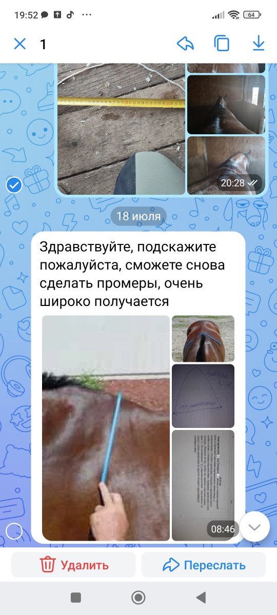 Screenshot_2023-07-31-19-52-08-211_com.vkontakte.android.jpg