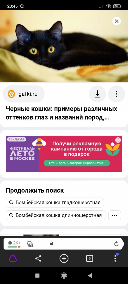 Screenshot_2024-07-29-23-45-01-415_com.yandex.browser.jpg