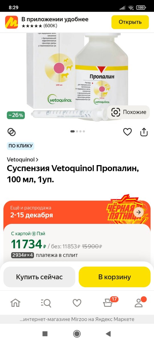 Screenshot_2024-12-04-08-29-39-473_com.yandex.browser.jpg