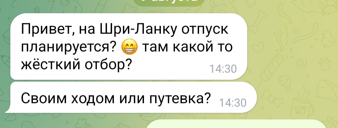 Screenshot_20240828_224444_Telegram.jpg