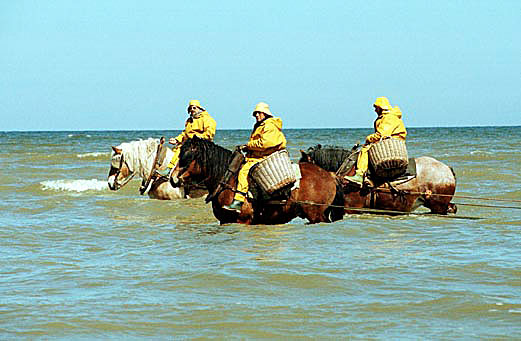 Shrimpers_on_horseback.jpg