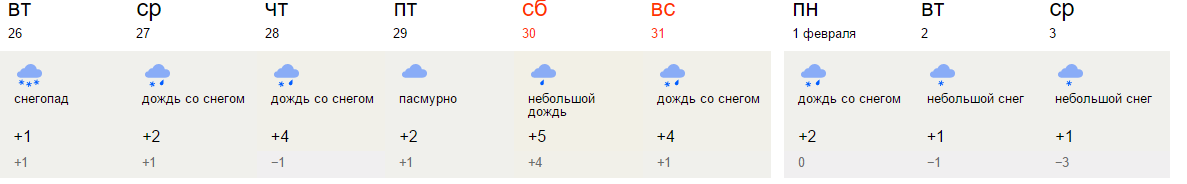 Новомичуринск рязанская область погода на 10 дней