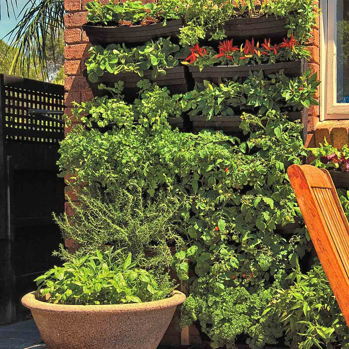 vertical garden.jpg