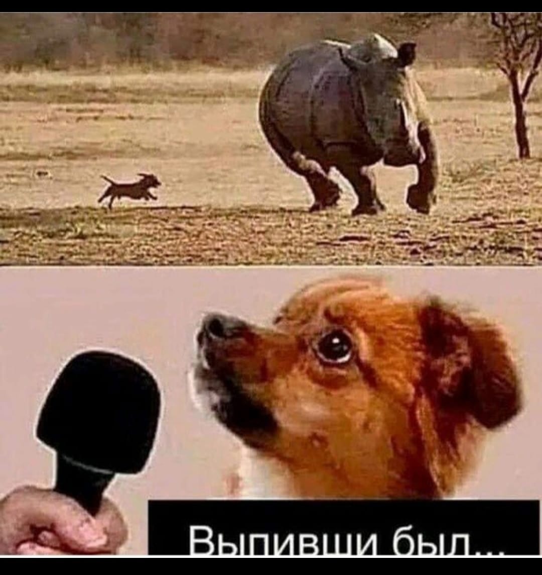 выпивши был.jpg