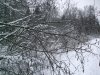 Копия 2010_01140062.JPG