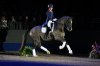 Valegro121616d.jpg