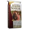 equine senior.jpg